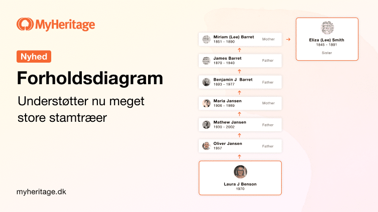 Relationsdiagrammet understøtter nu alle og dermed også de meget store træer