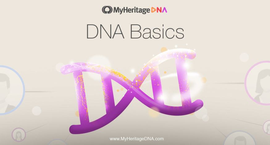DNA Basics 10. afsnit: Hvordan kan en DNA-test hjælpe dig med at finde nye slægtninge?