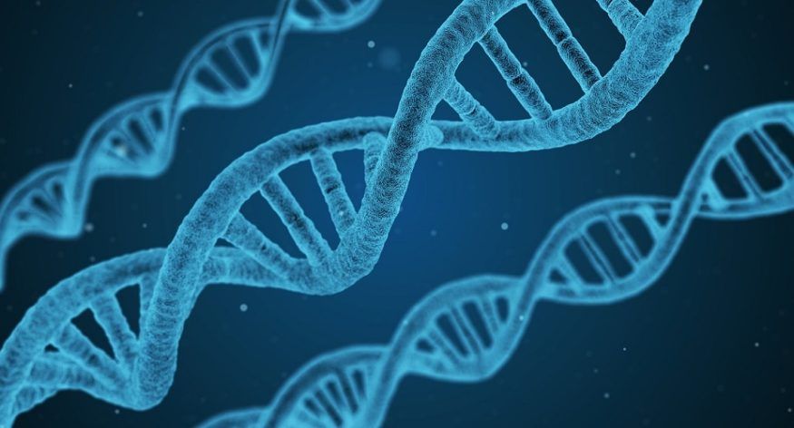 DNA Basics 1. afsnit: En ny blog-serie
