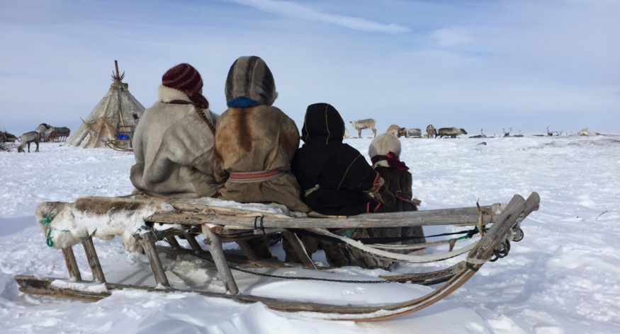 Tribal Quest: Sibiriske familiehistorier fra verdens ende