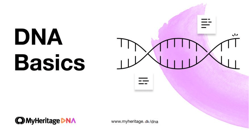 DNA Basics 11. afsnit: Hvad er genetisk slægtsforskning?