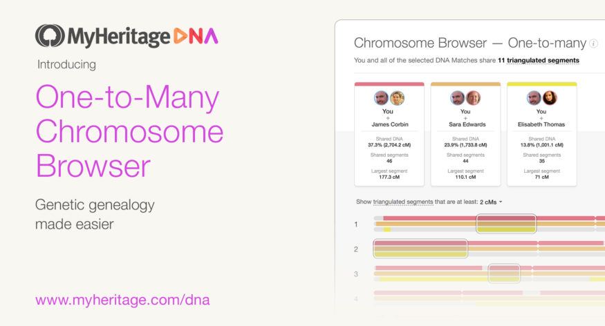 Omfattende opgradering af MyHeritages kromosombrowser for bedre håndtering af DNA-matches